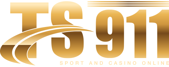 ts911 logo